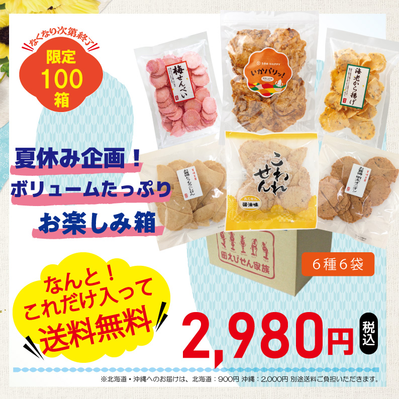 【送料無料】100箱限定！お楽しみ箱2026